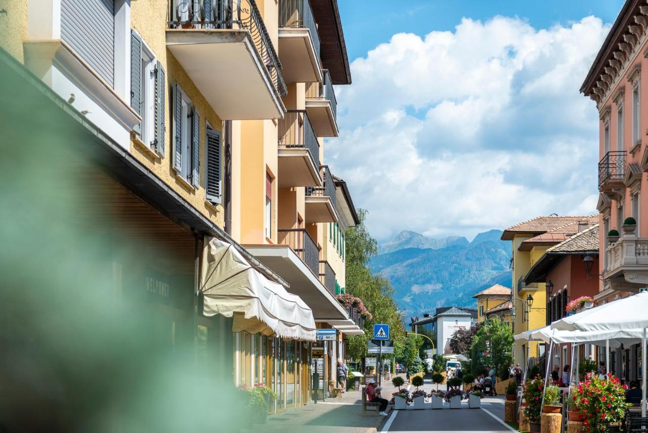 Cauriol Suites 2.3 Cavalese Kültér fotó
